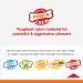 Nylabone Extreme Tough Dog Chew Toy Monster Beef Thigh Cleans Teeth Beef Flavour XXL for Dogs Over 23 kg package may vary - Buy Online on GoSupps.com