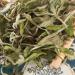 HELLOYOUNG 500g Th blanc Fuding naturel chinois Aliment vert biologique th Pu'er avec un ar me unique et charmant Th pu-erh Pu'er Tea - Buy Online on GoSupps.com