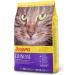 Josera Culinesse (1 x 400 g) |Cat food with salmon oil |Super premium cat food for adult indoor and outdoor cats |1 Pack 400 g (1 Pack)