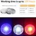 Homeet Dog Safety Flashing Light Clip-On LED Light - Luminous Band with 3 Flashing Modes - 3 Pieces for Enhanced Pet Safety | International Shipping Available - Buy Online on GoSupps.com