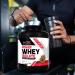 BioX Power Whey Isolate | 100% Ultra-Pure Whey Isolate Protein Powder | 30g Protein Per Serving Sugar Free Low Lactose & Low Carb Protein Powder | 65 Servings 5LB (Cookies & Cream) Cookies & Cream 65 Servings (Pack of 1) - Buy Online on GoSupps.com