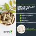 Renew Actives Premium Organic Lion's Mane Mushroom - Supports Brain Function Memory Focus Stress Relief and Immune Health Gluten-Free Non-GMO Vegan Made in Canada - 120 Capsules (2pk) 120 count (Pack of 2) - Buy Online on GoSupps.com
