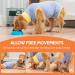 Avont Dog Recovery Suit - Postoperative Wound Protection for Neutered Males & Bitches - Blue (3XS) - Prevents Leak & Ensures Comfort - Buy Online on GoSupps.com