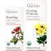 Gya Labs Rosehip Oil for Face (30ml) & Evening Primrose Oil for Face (100ml) Set - Aromatherapy Grade Essential Oils Set