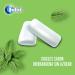 Buy Orbit Dragee Spearmint 14g - Refreshing Chewing Gum | International Shipping Available - Buy Online on GoSupps.com