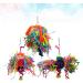 Balacoo 3 Pcs Parakeet Toys Parrot Hammock Bell Toys Bird Parrot Silk Balls The Swing Striped Bass The Bell Medium Picture 1 - Buy Online on GoSupps.com