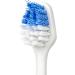 Smileactives Vibrite Sonic Replacement Brush Heads - Set of 3 | Firm Bristles for Whitening, Cleansing & Fresh Breath | Not Compatible with Wave Version - Buy Online on GoSupps.com