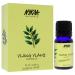 Buy Nykaa Naturals Ylang Ylang Essential Oil for Women - 0.33 oz | International Shipping Available - Buy Online on GoSupps.com