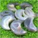 Collection Natural Agate geode Quartz Crystal Hand Carved Moon Reiki Healing.1pc (Size : 2pc) - Buy Online on GoSupps.com