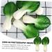 OUNONA 2pcs Little Cabbage Model Little Cabbage Props Simulation Vegetables Artificial Lettuce Simulation Food Model Decor Models Restaurant Display Prop Pvc Ingredients Chinese Cabbage - Buy Online on GoSupps.com