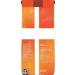Dunkin' Donuts Hazelnut Flavored Ground Coffee 12 Ounce (Pack of 3) - Buy Online on GoSupps.com
