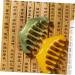 Shop Hapinary Beeswax Massage Comb Set - Head Scalp Massage Tool for Parents | Ideal Gifts & Skin Care Device | International Shipping Available - Buy Online on GoSupps.com