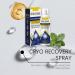 Chill Erase Bump Renewal Spray pour le corps l'acide salicylique avanc 2 % formule apaisante r duit les imperfections p n tre rapidement spray naturel pour la peau convient tous les types de 1 Pi ce. - Buy Online on GoSupps.com