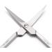 REMOS Stainless Steel Nail & Cuticle Scissors 9.5cm - Precision Trimming for Fingernails & Cuticles - Buy Online on GoSupps.com