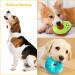 Kapetgo 6 Pack Luxury Dog Squeaky Toys for Puppy Cute Small Plush Dog Toys for Small Medium Dogs - Buy Online on GoSupps.com