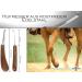 Professional Hoof Knife for Horses & Sheep - Ergonomic 2-Cutter Farrier Tool | Special Steel Hoof Care Knife Accessories - Buy Online on GoSupps.com