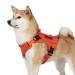 Oneigris dog harnesses Fire Watcher 2.0 Tactical dishes 2 metal buckles MOLLE SPACIATION THE SERVICE DISCHES DISCHES DOSE WESTHING With 1 handles and 2 no-pull D-ring 1000d nylon-orange m m orange