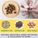 Effective Old Remedies: Detox Slimming Belly Pellets Natural Wormwood Essence Pills & Moxa Hot Moxibustion Stickers - 90PCs for Pain Relief - Buy Online on GoSupps.com