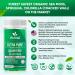 VVNATURALS Sugar-Free Chlorella Spirulina Seamoss Gummy - Immune, Detox & Joint Support | Keto-Friendly Alkaline Supplement for Women & Men | Non-GMO | Made in USA (60 Vegan Gummies) - Buy Online on GoSupps.com