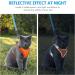 Escape-Proof Cat Harness and Leash Set - Reflective Vest for Small Cats | XXS Orange - Buy Online on GoSupps.com