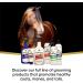 Absorbine Show Sheen Detangler 118 ml - Clear | Effective Hair Detangling Solution - Buy Online on GoSupps.com