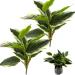 2 Bouquets Artificial Hostas 17.71in Tall Realistic Fake Dieffenbachia with 14 Leaves Low-Maintenance Indoor Aesthetic Artificial Greenery for Wedding Garden Home Office Decor Fake Plants - Buy Online on GoSupps.com