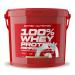 Scitec Nutrition Protein 100% Whey Protein Professional Vanilla Very Berry 5000 g Vanilla Very Berry 5 kg (1 pack)