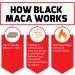 Black Maca Root Vitality Supplement for Men - 1000mg 60 Capsules - Natural Maca Negra Extract - Superior Absorption and Power - Force Factor Fundamentals Series - Buy Online on GoSupps.com