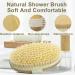 GiimiBash 12 Pack Bamboo Wet and Dry Body Brushes - Cellulite and Lymphatic wet and dry Brush - Soft and Stiff Bristles - Buy Online on GoSupps.com