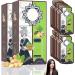 Ginger Plant Extract Hair Shampoo (2 boxes)
