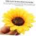 Zerodeko 50 Pcs Simulated Sunflower Clothes Decoration Easy to Attach Patch Sunflower Design Attractive Patch Cotton Patch Coat Artificial Flower Dance Costume Clothing Decorate Silk Cloth As Shownx5pcs 10X10X2CMx5pcs - Buy Online on GoSupps.com