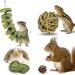 ERKOON 13er Rabbit Toys Set for Teeth Boredom Breaker Natural Wooden Treats for Rabbit Hamster Grass Rattan Carrot Sticks Guinea Pig Tooth Cleaning Toys for Rat Guinea Pig Chinchilla Gerbils 1 count (Pack of 13) - Buy Online on GoSupps.com