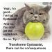 Transforme Cystassist Feline Urinary Tract Supplement Support for Cats of All Ages 45 Capsules - Buy Online on GoSupps.com