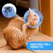 Lufeis Adjustable Cat Cone Collar for Recovery - Soft Elizabethan Collar for Cats & Puppies - Prevent Biting & Licking - Size Medium - Buy Online on GoSupps.com