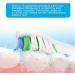 12 Replacement Brush Heads for Philips Sonicare Electric Toothbrush - Compatible Toothbrush Attachments (White) - Buy Online on GoSupps.com