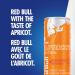 Red Bull Energy Drink Apricot-Strawberry 250ml (4 pack) Apricot Strawberry - Buy Online on GoSupps.com