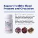 Xtendlife VasQFlow Circulation Support - Nitric Oxide Supplement for Healthy Blood Flow Blood Pressure & Immunity | 100% Vegan Non-GMO (90 Count - Buy Online on GoSupps.com