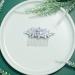 Sooshin Bridal Hair Comb - Crystal Wedding Headpiece for Bride and Bridesmaids in Silver - Buy Online on GoSupps.com