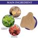 Bunion Patch - 10PCS Bunion Corrector & Toe Foot Corn Protector Pads for Men and Women - Buy Online on GoSupps.com