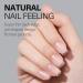 AILLSA Ultra Short Coffin Nail Tips - 240 PCS Matte Soft Gel Full Cover False Nails for DIY Press On - 15 Sizes Pre-shaped Clear Acrylic Tips - Buy Online on GoSupps.com