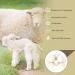 ProLeo Sheep's Wool Balls Reusable Natural Fabric Softener 6 Pieces for Laundry Dryer Leaves Trockner Bl tter - Buy Online on GoSupps.com