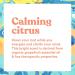 ASUTRA Yoga Mat Cleaner Spray - Organic Calming Citrus No Residue Deep-Cleansing Includes Microfiber Towel - Perfect for Fitness Gear & Gym Equipment - Buy Online on GoSupps.com