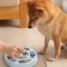 Dog Food Puzzle Feeder Toy for IQ Training & Enrichment - Blue - Buy Online on GoSupps.com