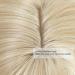 Yamel 12 Inch Hair Topper with Bangs in Highlight Blonde - Synthetic Wiglet for Thinning Hair (4 x 2) - Women's Hairpiece - Buy Online on GoSupps.com