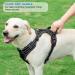 tobeDRI No Pull Dog Harness & Leash Set - Adjustable Reflective Oxford, Easy Control for Medium & Large Dogs - Blue - Buy Online on GoSupps.com