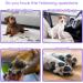 Nobleza Dry Foam Shampoo for Dogs Cats & Rabbits - Lavender 250ml | Ideal After Walks & Before Bed for Kittens & Puppies - Buy Online on GoSupps.com