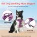 Pawaii Dog Harness for Small Dogs - Anti-Pull Reflective No-Choke Breast Harness with Handle (XS Orchid Purple) - Perfect Fit for Comfort - Buy Online on GoSupps.com