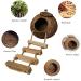 Tfwadmx Coconut Hide with Ladder - Natural Fiber Hanging Birdhouse Cage for Parrot, Parakeet, Lovebird, Finch, Canary - 2 Pcs - Buy Online on GoSupps.com