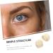 OHPHCALL 4 Rolls Double Eyelid Stickers Girly Decor Hooded Eyelid Lifter Invisible Eyelid Sticker Mesh Woman - Buy Online on GoSupps.com