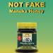 Nelson Honey New Zealand Manuka Honey (30+) 250g - Pure and Authentic | Pack of 1 - Buy Online on GoSupps.com